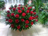 /album/kompozitsii-1/getimage-14-jpg4/